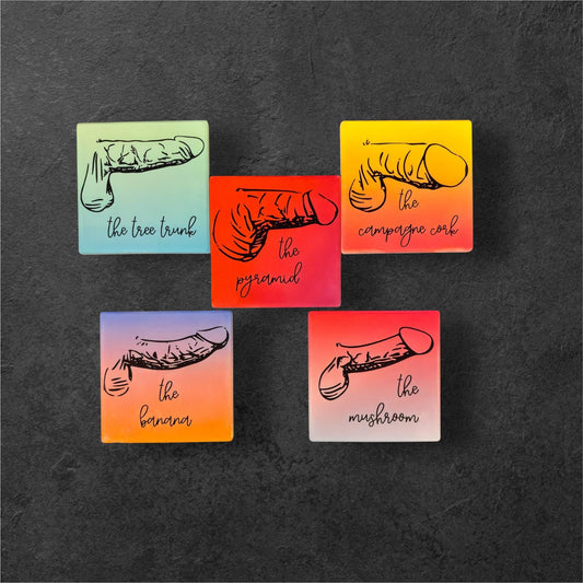 Know Your Dicks Ceramic Coasters | Funny Penis Art | Cheeky Adult Gift